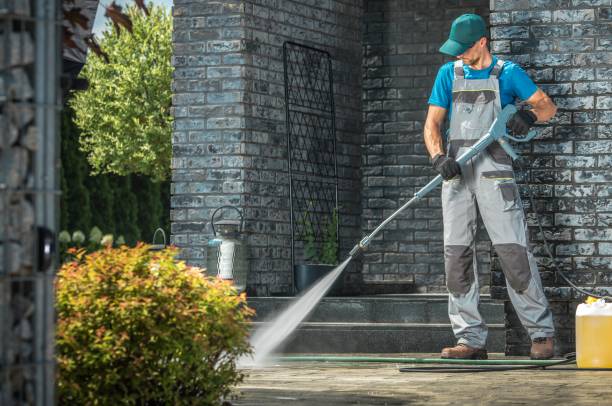 Solar Panel Cleaning in Chatham, IL